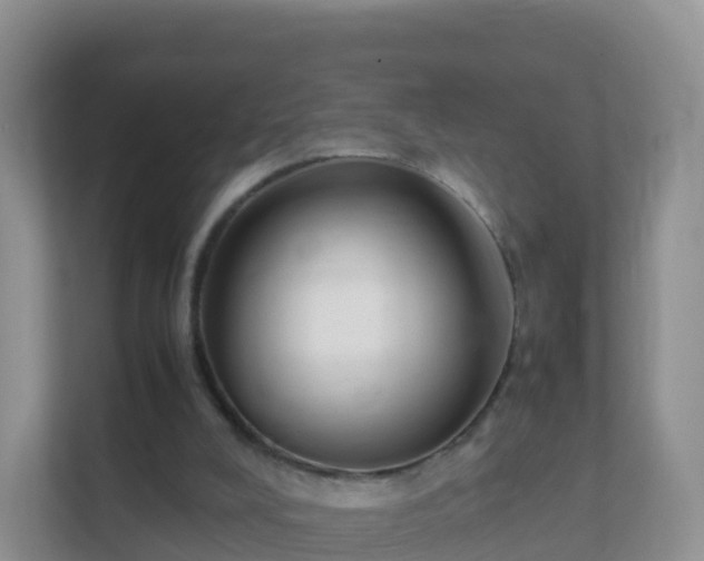 X0000111650008200907241141