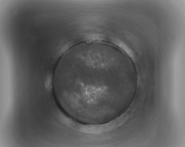 X0000111650009200907241141