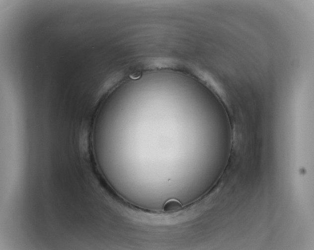 X0000111650010200907241141