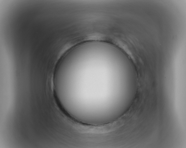 X0000111650011200907241141