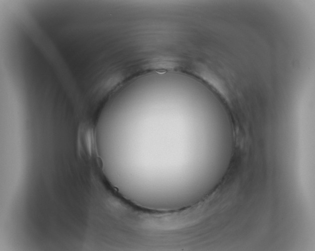X0000111650013200907241141