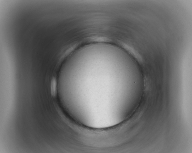 X0000111650014200907241140