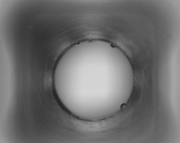 X0000111650015200907241140