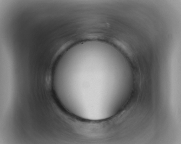 X0000111650016200907241140