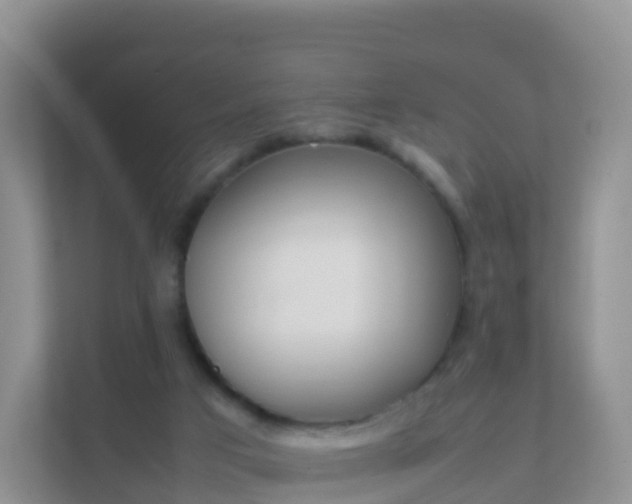 X0000111650017200907241140
