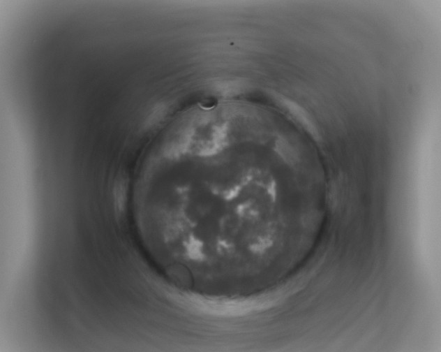 X0000111650018200907241140