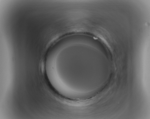 X0000111650019200907241140
