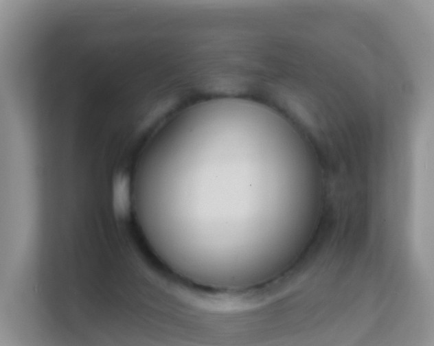 X0000111650020200907241140