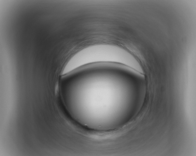 X0000111650021200907241140