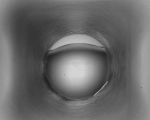 X0000111650025200907241140