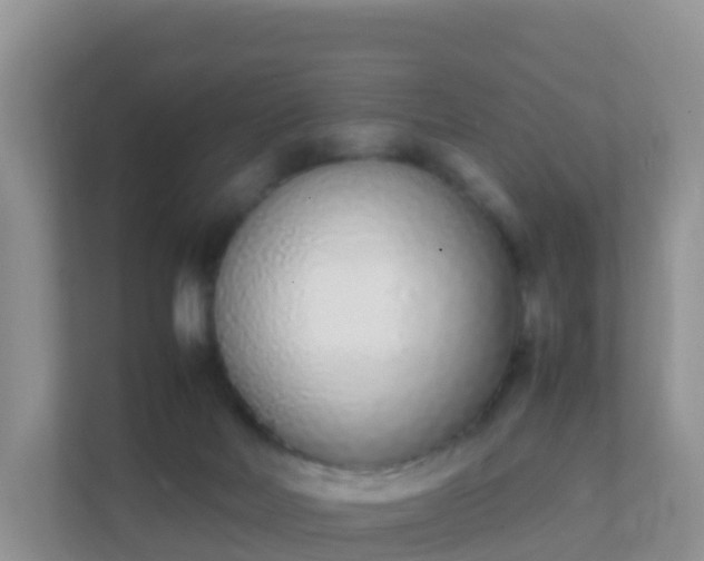 X0000111650026200907241140