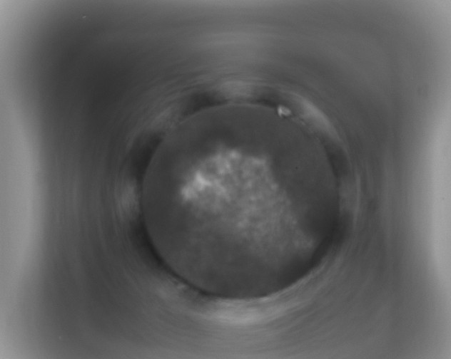 X0000111650029200907241140