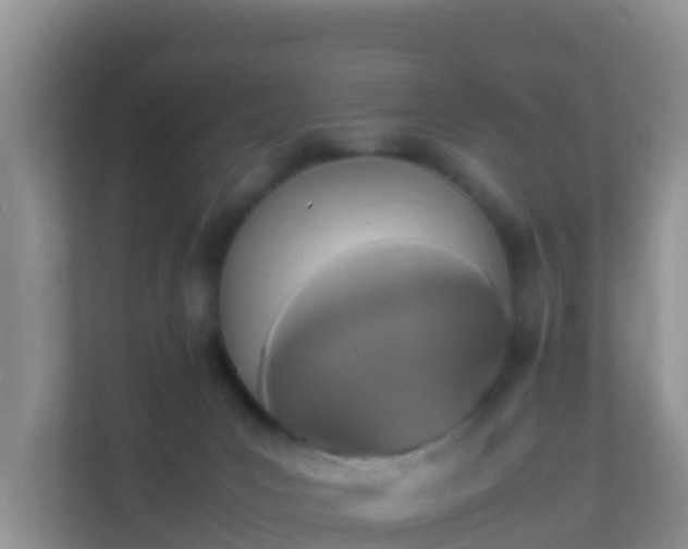 X0000111650031200907241140