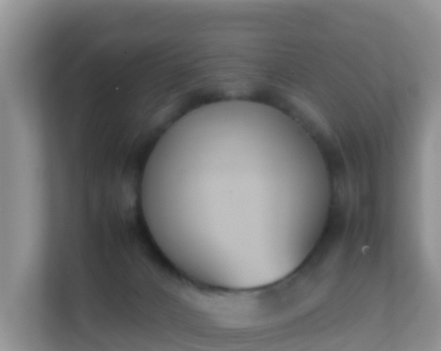 X0000111650032200907241140