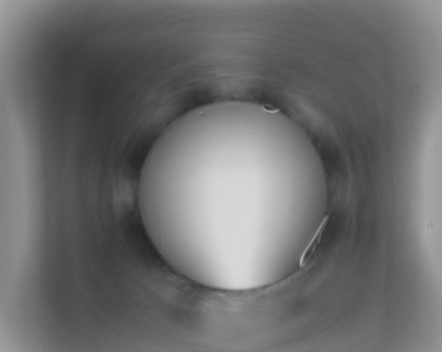 X0000111650033200907241140