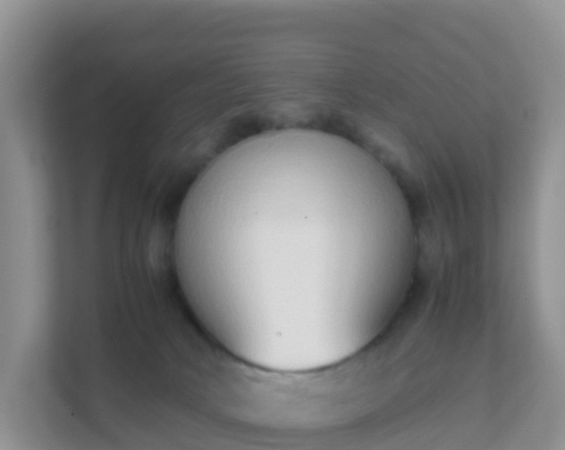 X0000111650034200907241140