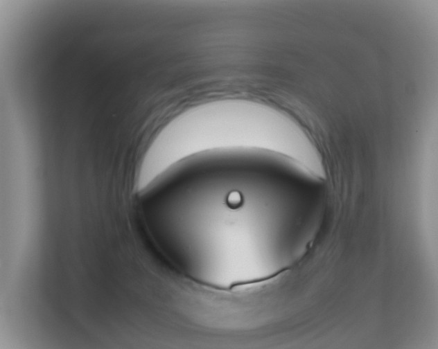 X0000111650035200907241140