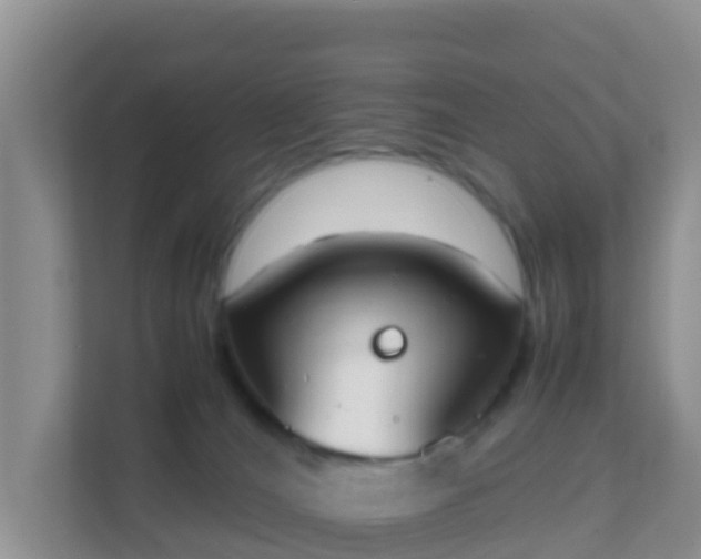 X0000111650036200907241140