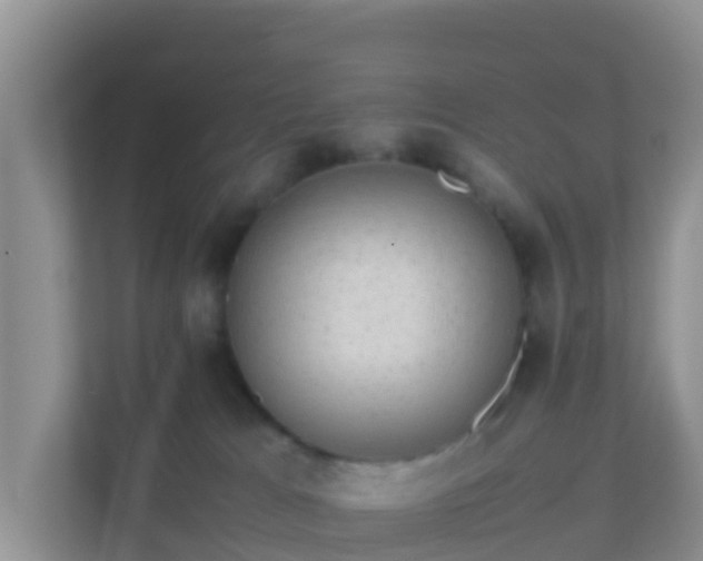 X0000111650037200907241140