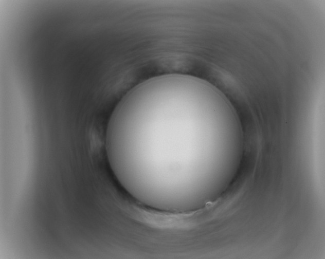 X0000111650040200907241140