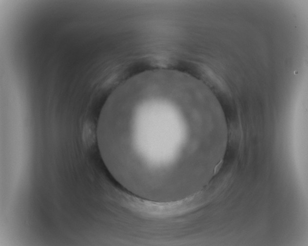 X0000111650043200907241140