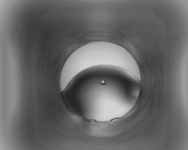 X0000111650045200907241140