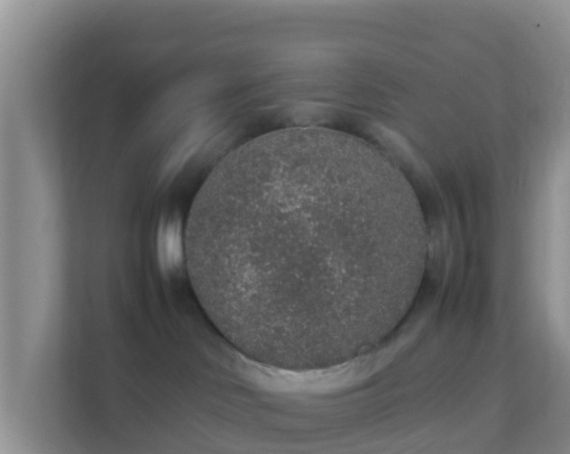 X0000111650046200907241140