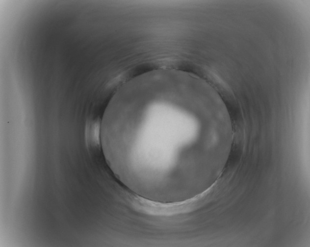 X0000111650047200907241140