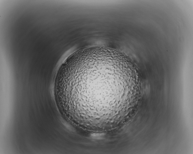X0000111650051200907241139