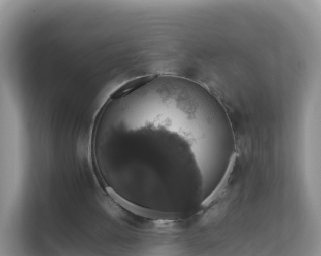 X0000111650052200907241139