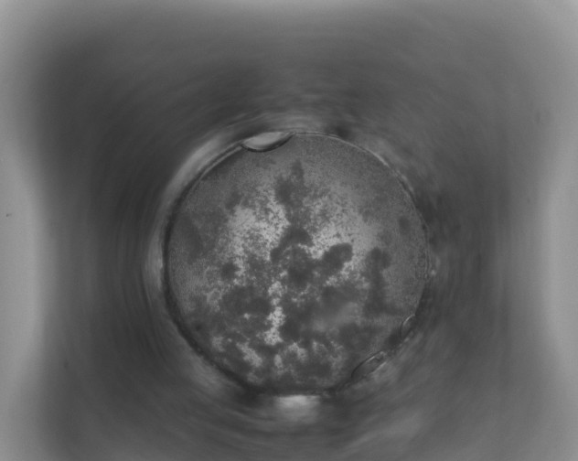 X0000111650053200907241139