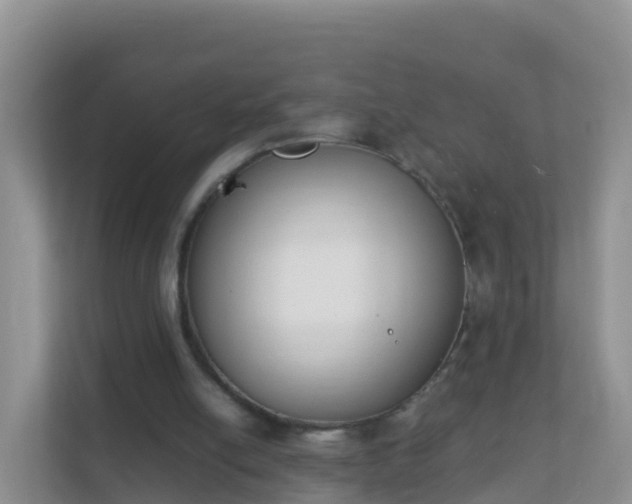 X0000111650054200907241139