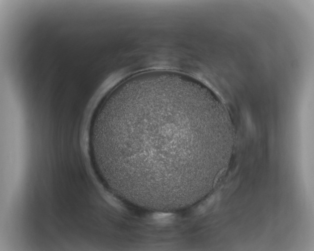 X0000111650055200907241139