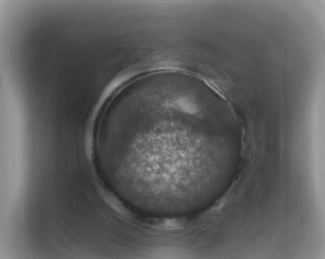 X0000111650056200907241140