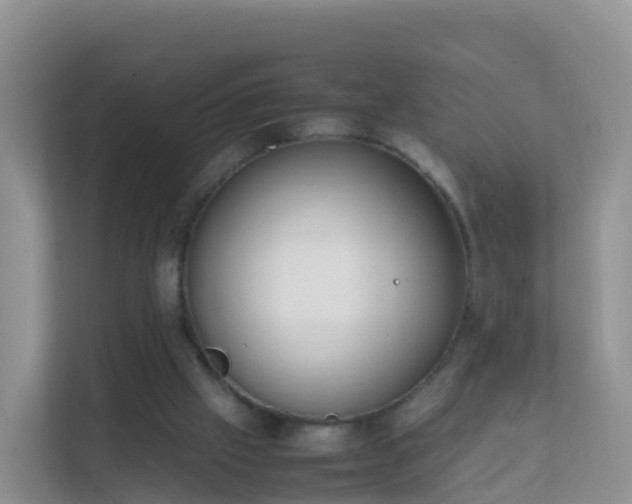 X0000111650057200907241140
