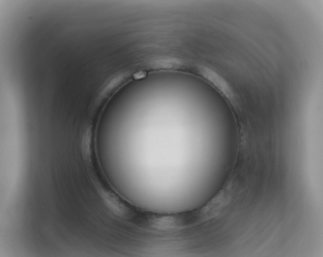 X0000111650058200907241140