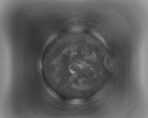 X0000111650059200907241140