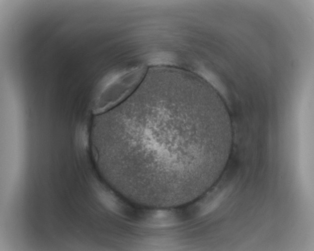 X0000111650060200907241140