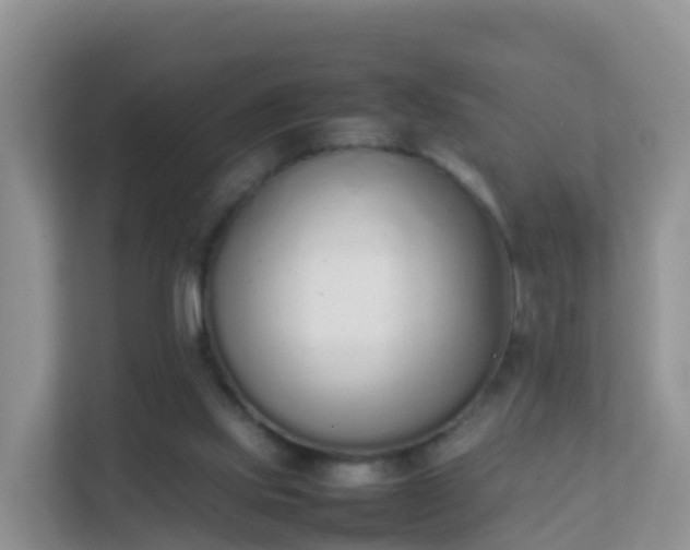 X0000111650061200907241140