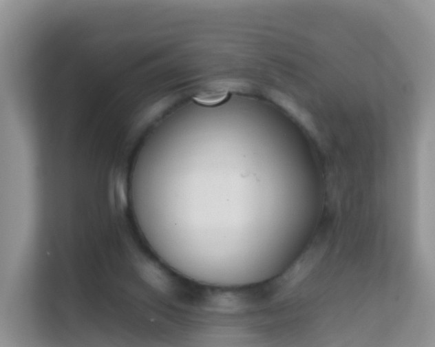 X0000111650062200907241140