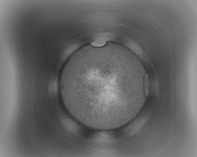 X0000111650064200907241140