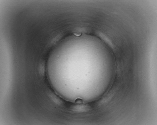 X0000111650065200907241140