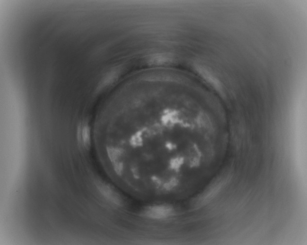X0000111650067200907241140