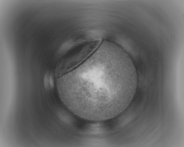 X0000111650068200907241140