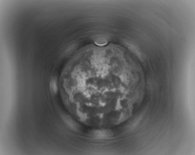 X0000111650069200907241140