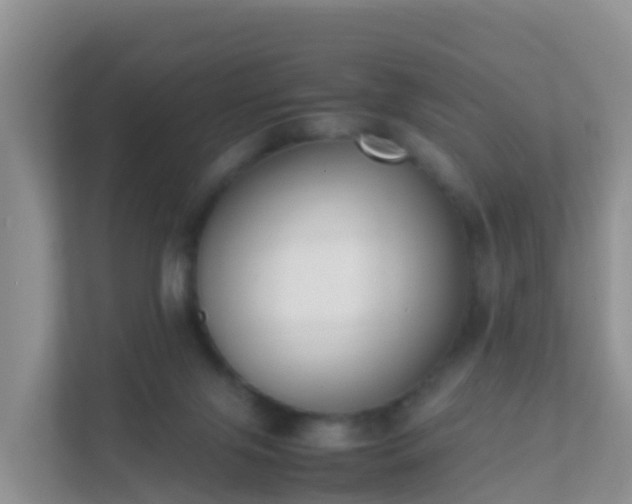 X0000111650071200907241140