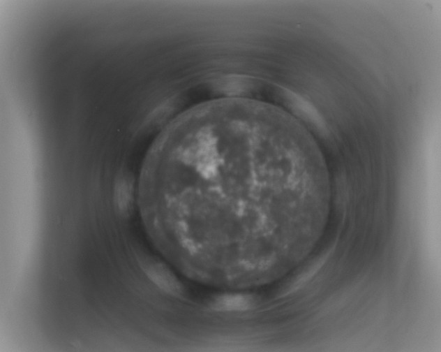 X0000111650073200907241140