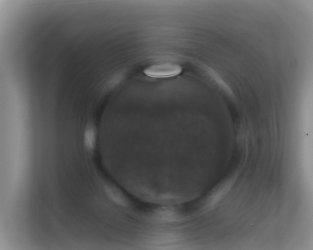 X0000111650076200907241140