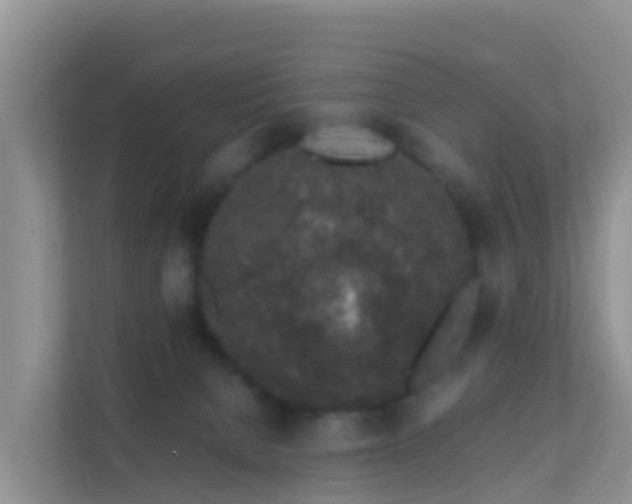 X0000111650080200907241140