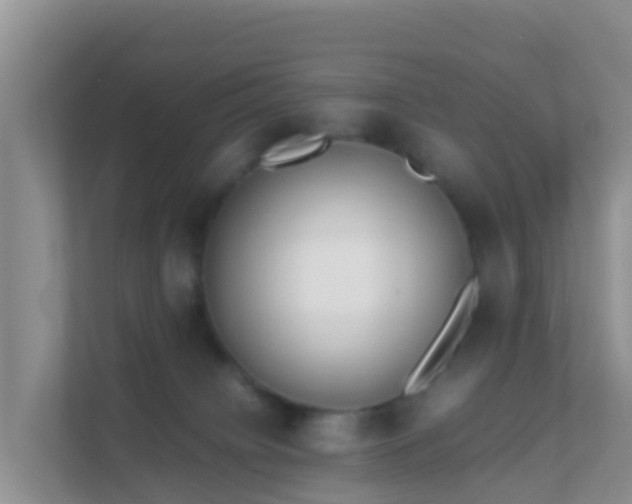 X0000111650084200907241140